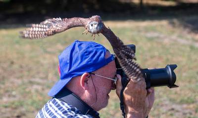 Roofvogels scheren over het publiek in Harskamp