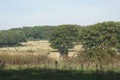 Het gaat goed met Plantage Willem III