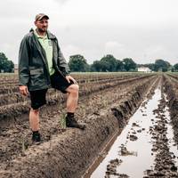 Regen spoelt inkomsten aspergetelers weg: ‘Geen duizenden, maar honderdduizenden euro’s verlies’