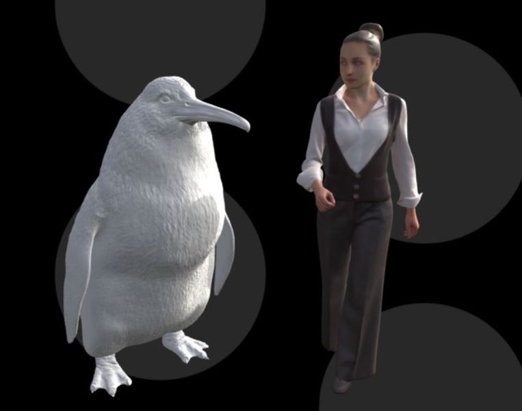 Reconstruction of newly discovered Crossvallia waiparensis penguin, next to human to show size, picture by Canterbury Museum