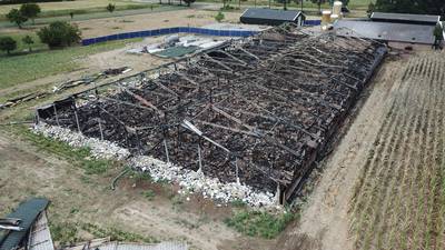 Buurt over staleigenaren Didam: 'Vreselijk, het zijn echte dierenliefhebbers'