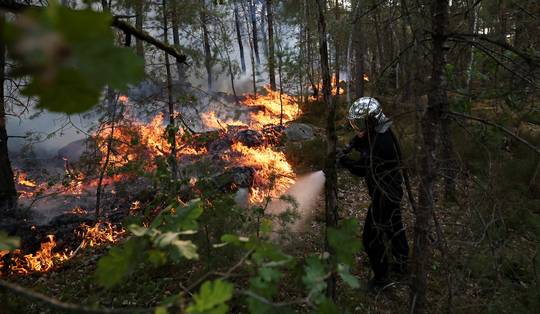Brandweerman van 18 bekent brandstichting in bos van Fontainebleau ‘met aansteker en benzine’ • Duitsland telde 32 procent meer doden tijdens hittegolf van juni