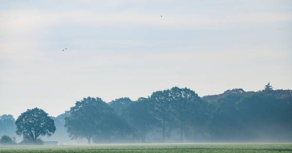 Mast aan Dennenweg in Haarlo: dat deugt niet