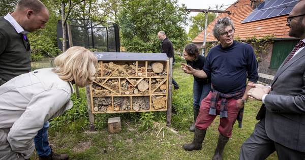 Zorgboerderij De Dennenkamp Rekken inspireert Urgenda