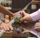 Luxemburg wil cannabis legaliseren: ‘Het kan andere landen over de streep trekken’