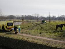 Gemeente leek rijbewijs