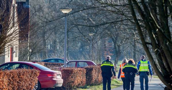 ‘Illegale bewoners’ Groene Heuvels moeten binnen halfjaar weg