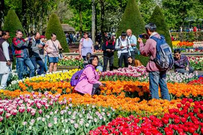 Directeur Keukenhof: Bollenstreek kan drukte niet meer aan