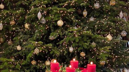 2. Vœux du Roi (Noël)