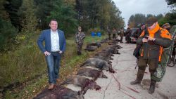 Open Vld Limburg wil everzwijnenplan: "Boete voor jagers die er te weinig schieten"
