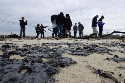 Het strand van Brigitte Bardot zit onder de olie