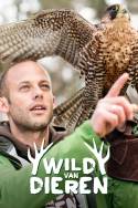boxcover van Wild van Dieren