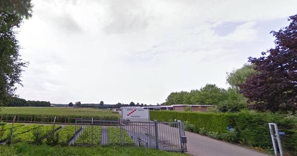 Kwekerij Permar in Achterberg heeft nieuwe eigenaar - De Gelderlander