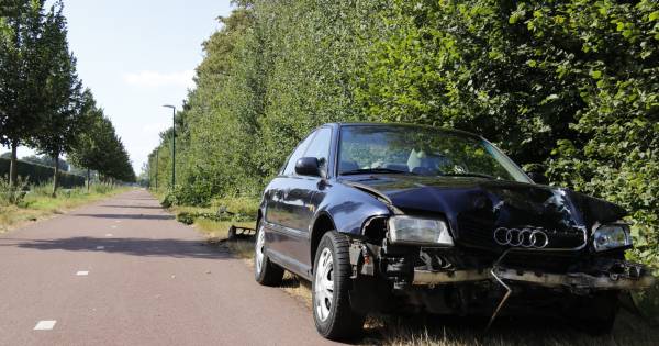Bestuurder 'valt in slaap' en ramt boom en lantaarnpaal