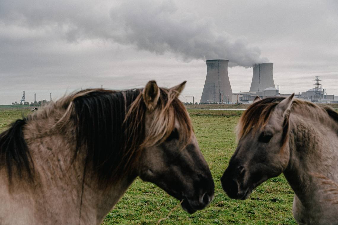 Optimisme bij De Wever over kernenergie, maar experts waarschuwen: ‘Ik voorspel een torenhoge factuur’