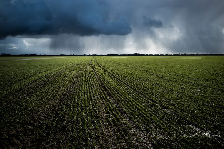 Verander Groningse krimpregio naar groeiregio - Trouw