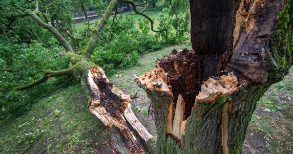 MeteoGroup: 'Tornado begon in Nederasselt' - De Gelderlander