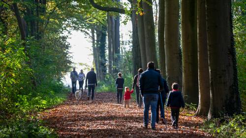 100 wandeltips uit heel Vlaanderen