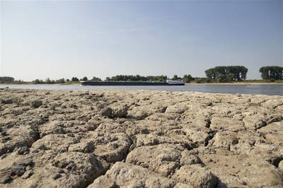 Droogte zorgt opnieuw voor problemen: actie tegen vissterfte en blauwalg