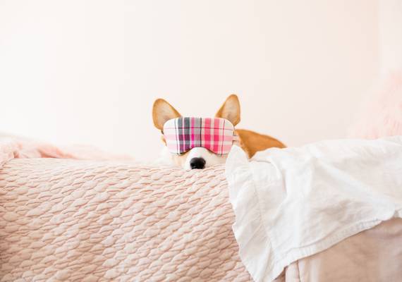 Slaap je slecht? Een té comfortabel leven zou weleens de oorzaak kunnen zijn