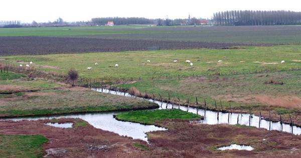 Sluis en provincie onderhandelen over bijdrage parkings Waterdunen - PZC