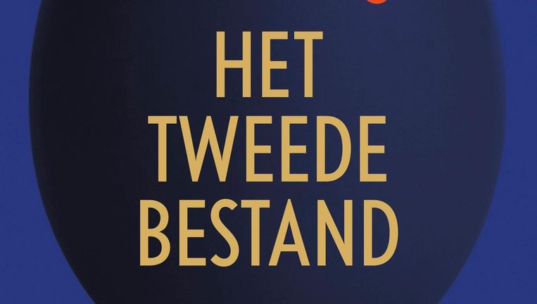 Cultuur & Media Grunberg onderzoekt de liefdespotentie van computers - Volkskrant