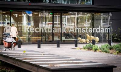 Veroordeelde jihadist krijgt Nederlanderschap niet terug