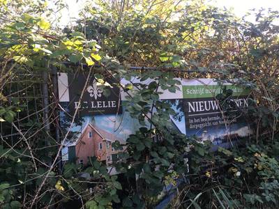 Minder woningen maar ook parkeerplekken in nieuw plan voor De Lelie in Noordgouwe