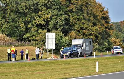 Auto schept losgebroken pony op N225 bij Heelsum