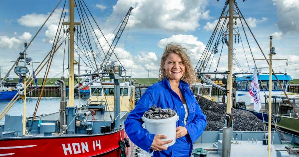 Culinaire reis door NL: deze Zeeuwse zaligheden zijn absoluut de moeite waard - BD.nl