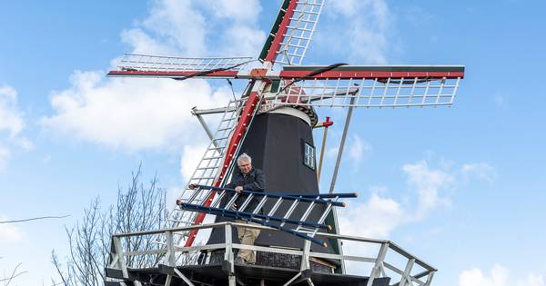 Brouwse molen Windlust wordt weer tiptop in orde gemaakt