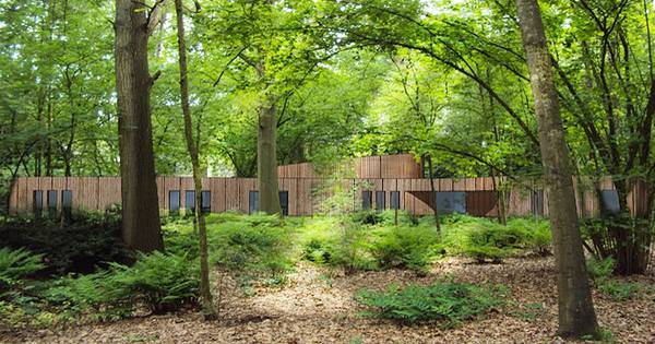 GroenLinks-raadslid ‘mist’ crematoriumbos in Haarlo