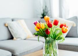 Ze zijn er weer en zó geniet je extra lang van een mooie bos tulpen
