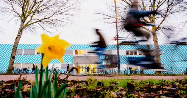 Minister Slob In Beroep Tegen Uitspraak Over Wegsturen Bestuur Haga Lyceum Binnenland Bd Nl