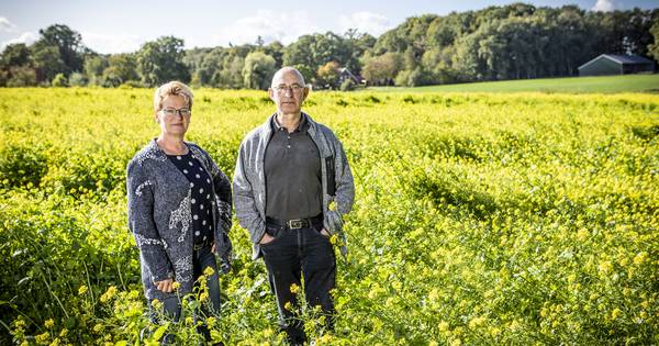 Pluimveehouders uit Hezingen moeten grond afstaan: 'Wie zorgt er straks voor dit gebied?' - Tubantia
