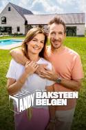 boxcover van Andy en de Baksteen Belgen