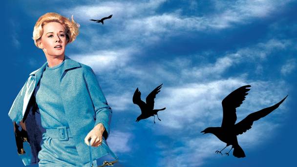 The Birds