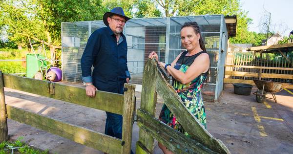 'Je moet er een kronkel voor in je hoofd hebben, maar het motiveert'