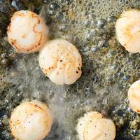 Coquilles maken je voorgerecht op slag feestelijk