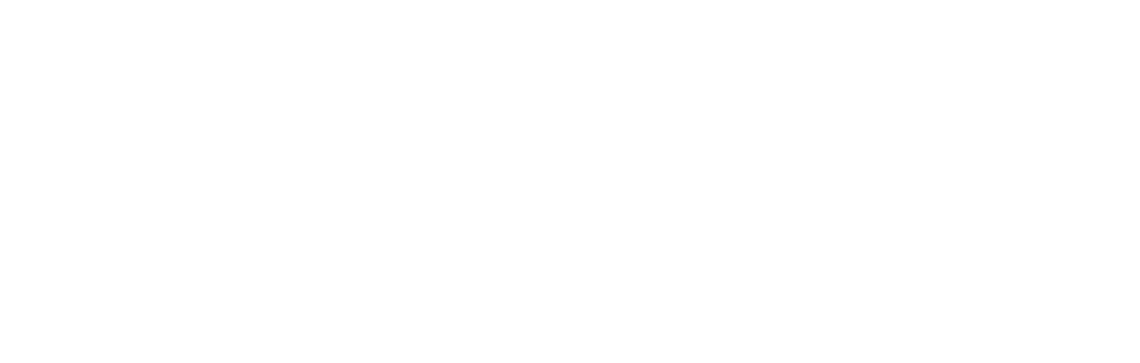 Operation Fortune: Ruse de Guerre