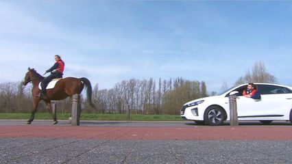 Aflevering 56