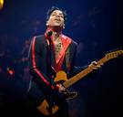 ‘Prince en ik hadden een heerlijk seksleven, maar als er een song in zijn hoofd opdook, moest ik wijken’