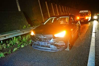 Hangbuikzwijntjes aangereden op de A2 bij Leende