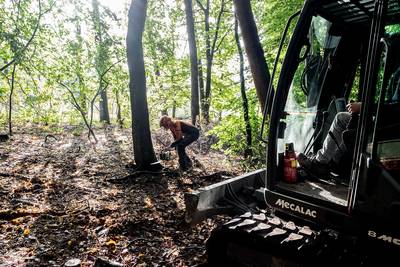 Moskou? Ja, deze gekapte bomen uit Groesbeek worden gecompenseerd ‘op Moskou’