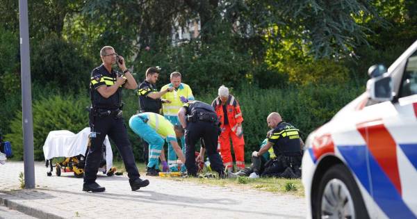 Het slachtoffer raakte ernstig gewond bij het incident aan het Dirkslandhof .