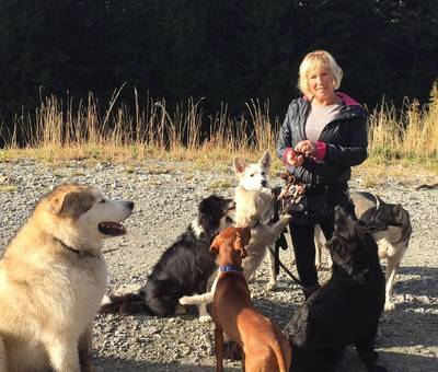 Canadese vrouw overleeft drie dagen in wildernis dankzij honden