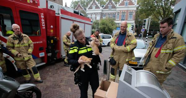 De politie is een buurtonderzoek gestart:.