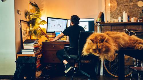 “Telewerk werd lang gezien als een soort beloning, maar het kan ook een efficiënte tool zijn”