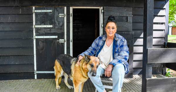 Dierenopvang overvol met dieren van overleden baasjes: '46 honden en 70 katten' - BN DeStem
