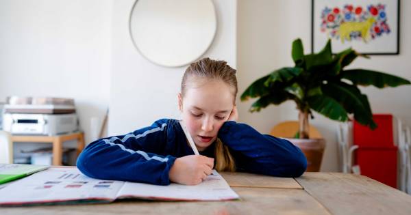 Scholen in onzekerheid: is het jaar dan voorbij? En kunnen de schoolexamens zo wel doorgaan? - BD.nl